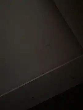 ALANNFERRER online show from 11-01-25, 10:42