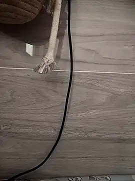 Tan32 11 online show from 01-14-26, 05:22