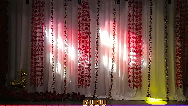 yznt-dudu online show from 03-28-26, 04:13