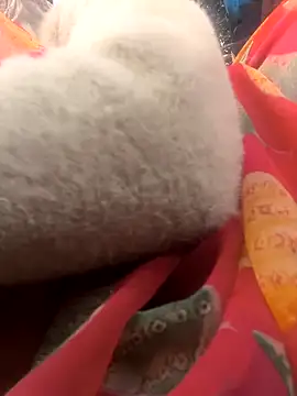 Hot raaani online show from 01-15-26, 11:24