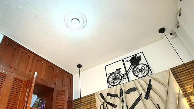 Cinthiabaker online show from 11-13-25, 11:36