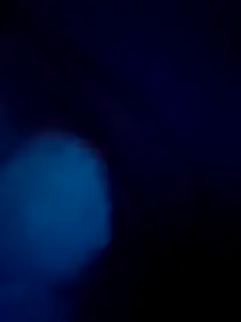 treefrog2025 online show from 09-17-25, 11:29