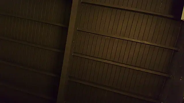 lilyth bloom online show from 12-15-25, 12:44