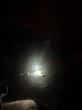 slicksdick25 online show from 04-03-26, 09:32