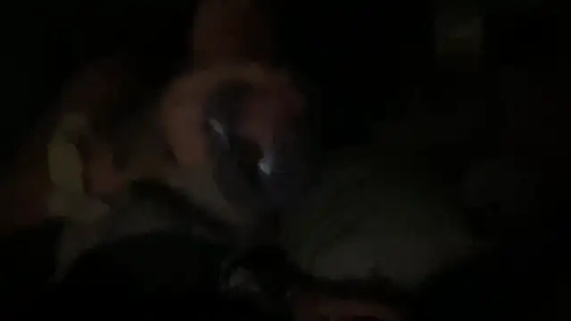 dddasani online show from 09-24-25, 06:09