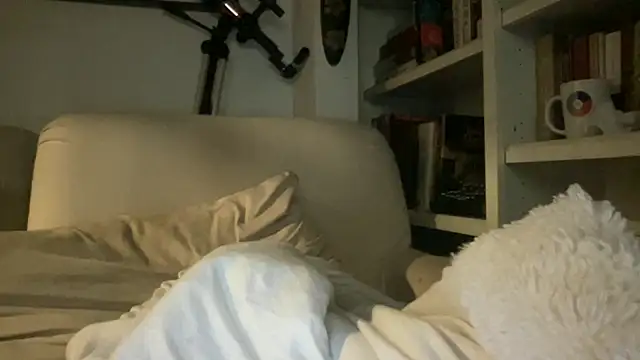 dddasani online show from 10-02-25, 02:42