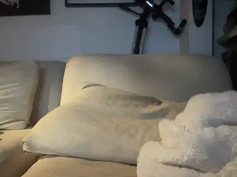 dddasani online show from 10-17-25, 08:32