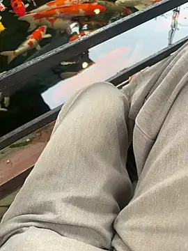 sharon-Hanna online show from 02-25-26, 02:34