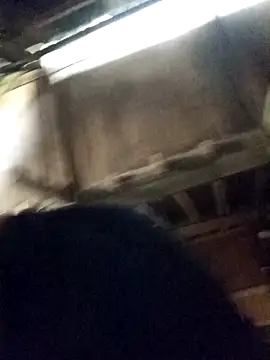 Bianly online show from 04-16-26, 09:32