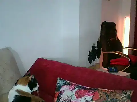 Snapshot of a_miss chatting on 09-18-25, 05:38 a miss online show from 09-18-25, 05:38