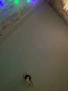 missevacrystal online show from 11-07-25, 11:48