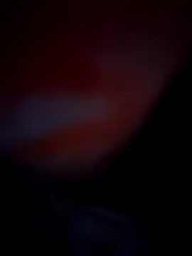 Exotic-bhabhi online show from 10-10-25, 08:53