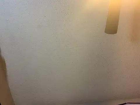 Triggerhappycj100 online show from 11-09-25, 09:35