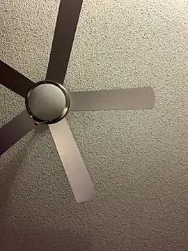 Triggerhappycj100 online show from 02-24-26, 08:48