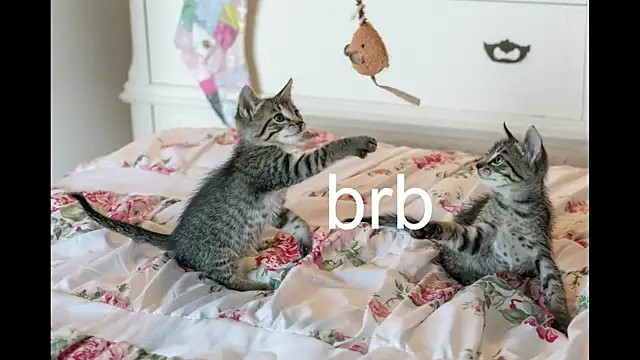 Pink girl0n online show from 09-25-25, 12:22