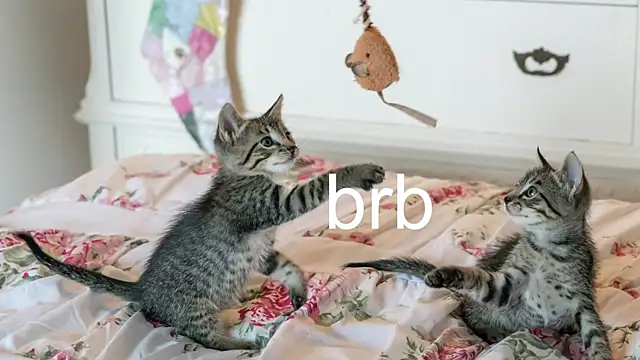 Pink girl0n online show from 10-26-25, 03:07