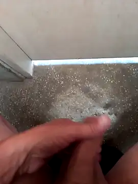 fepintudo online show from 11-29-25, 08:09