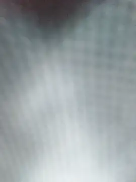 Reina Cummings online show from 04-05-26, 05:14