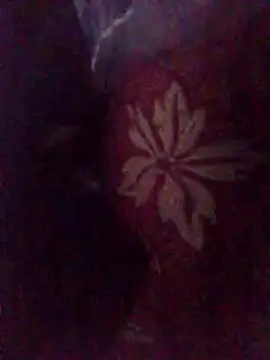 Snapshot of Amin_Dz-20 chatting on 01-07-26, 11:32 Amin Dz-20 online show from 01-07-26, 11:32