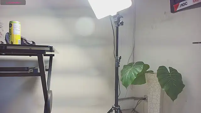 sakuramoss online show from 10-24-25, 06:45