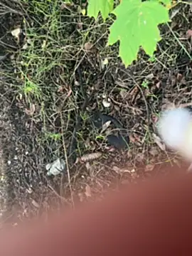 Sosisonchik online show from 10-07-25, 03:35