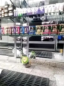 Katyuskka love online show from 11-25-25, 04:51