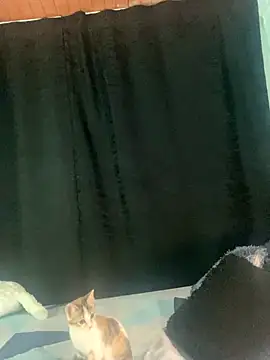 EVAH LEE  online show from 09-23-25, 01:12