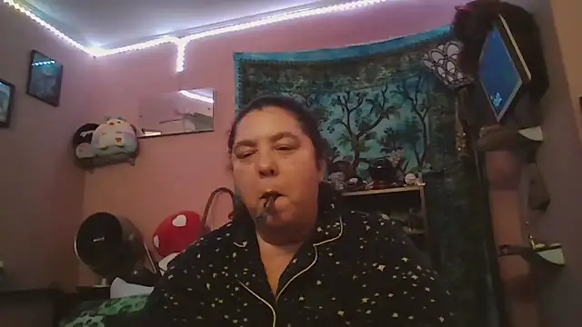 lil-gemini-hippy online show from 02-17-26, 03:04