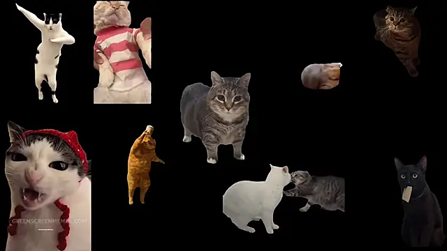 ch0wn m online show from 10-24-25, 10:47