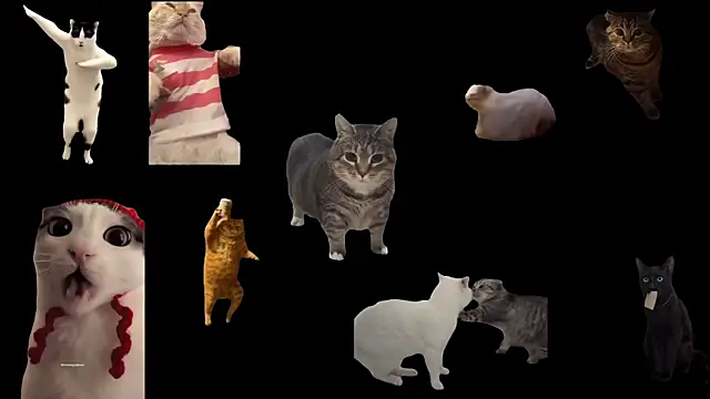 ch0wn m online show from 09-20-25, 11:59