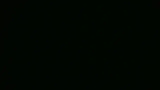 ch0wn m online show from 09-18-25, 01:14