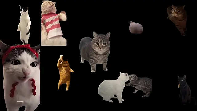 ch0wn m online show from 09-19-25, 10:41