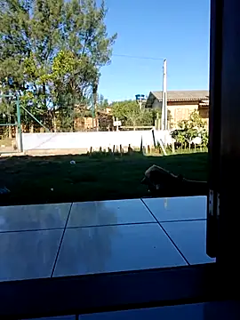 cicinha3657 online show from 04-09-26, 06:25