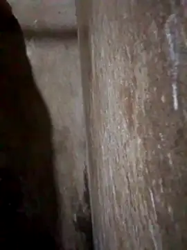 Lujor online show from 03-31-26, 11:40