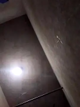 Lujor online show from 04-08-26, 12:34