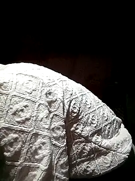 Snapshot of Phuongphuongg chatting on 09-26-25, 01:40 Phuongphuongg online show from 09-26-25, 01:40