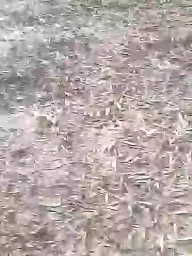 sonotutto online show from 10-16-25, 08:11
