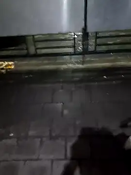 boysxx online show from 10-30-25, 08:06