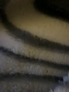 Simon-xx online show from 02-15-26, 03:40