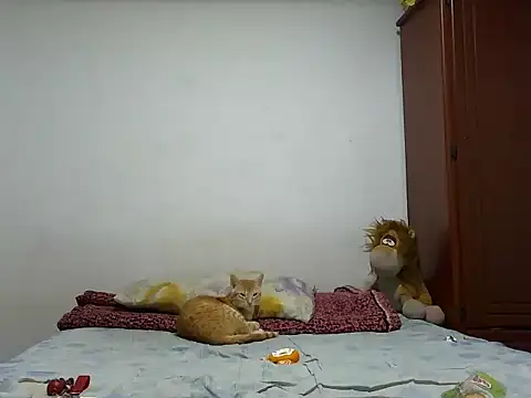 MeganAndMaxxh online show from 10-28-25, 12:33