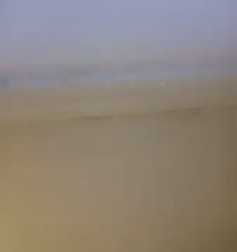 ramesh65 online show from 01-14-26, 08:34