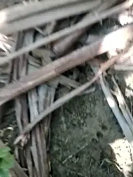 Snapshot of Real_Sucker chatting on 11-28-25, 04:56 Real Sucker online show from 11-28-25, 04:56