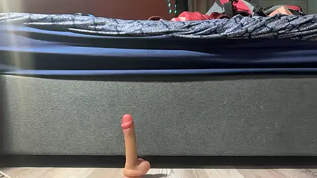 bearcub300 online show from 12-18-25, 05:34