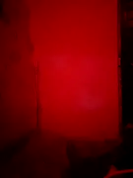 sweetsinisabella online show from 10-04-25, 09:11