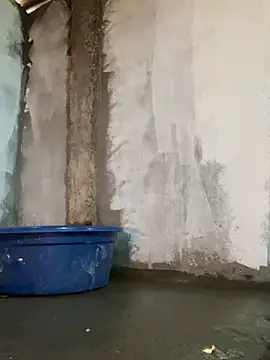 Sunny lotus online show from 04-16-26, 05:19