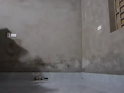 Bjorn357 online show from 03-03-26, 06:31