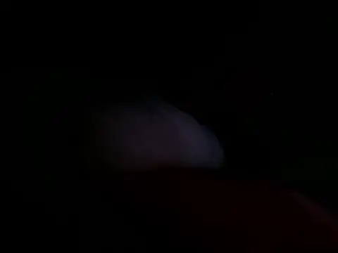 astridcollinsvip online show from 10-25-25, 10:36