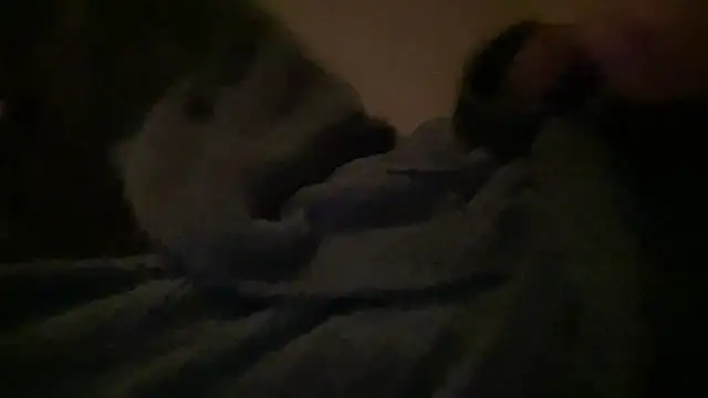 peterpapiNL online show from 03-31-26, 07:16