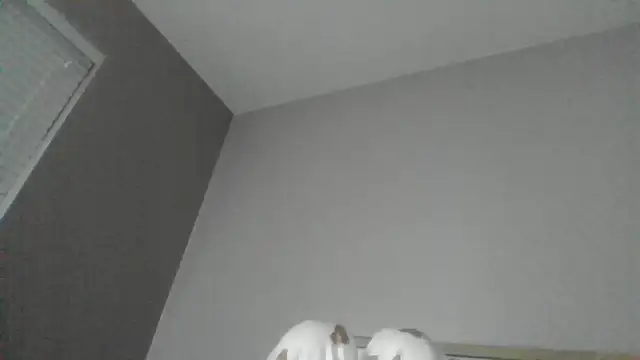 SexyKatiex online show from 12-02-25, 09:49