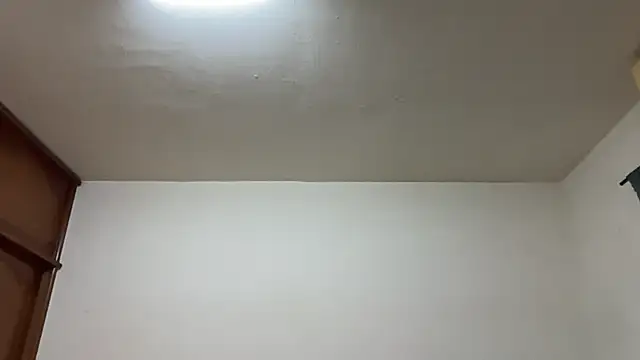 Foxfoxfox4 online show from 02-17-26, 03:31